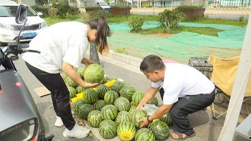 15吃瓜网官网,揭秘娱乐圈最新热点，带你畅游八卦世界