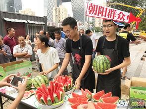 北京朝阳吃瓜群众网